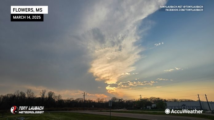 Chase Log: March 14, 2025